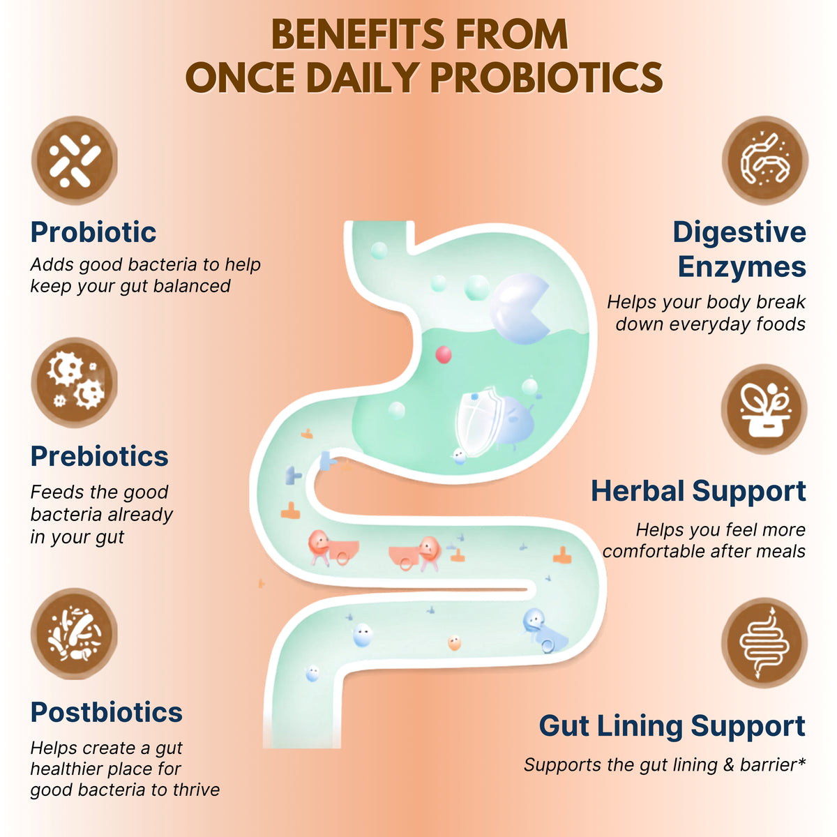 Nikoni Fermented Probiotics 100 Billion CFU, 50 Strains with Prebiotics & Digestive Enzymes, 90 Vegan Softgels