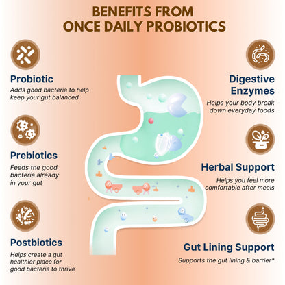 Nikoni Fermented Probiotics 100 Billion CFU, 50 Strains with Prebiotics & Digestive Enzymes, 90 Vegan Softgels
